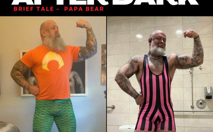 Brief Talk After Dark – Brief Tale Papa Bear