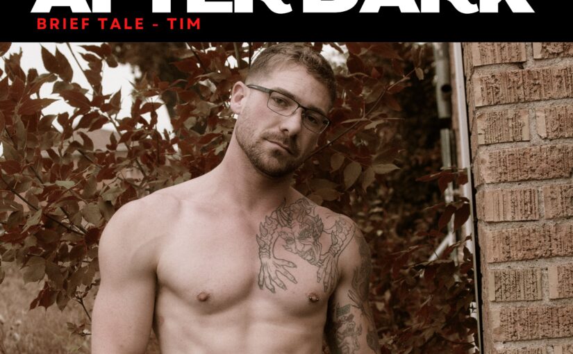 Brief Talk After Dark – Brief Tale Tim